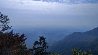 &ldquo;九九重阳，久久健康&rdquo; | 湖州律师欢庆重阳