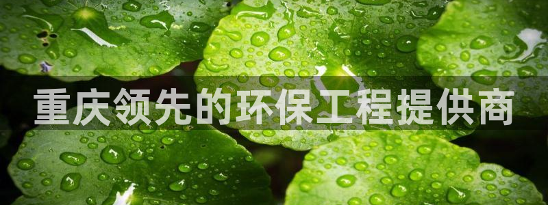 彩名堂人工计划怎么找不到下载了?：重庆领先的环保工程提供商